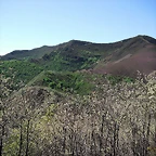 DSCF2515