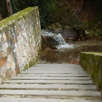 DSCN0111