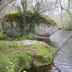 DSCN4160