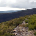 DSCN0170