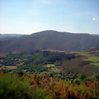 DSCN5938