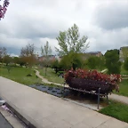 DSCN9168