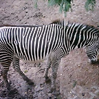 PIC03329