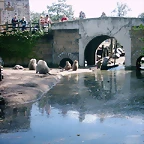 PIC03336