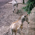 PIC03331