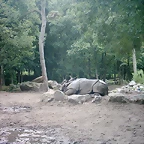 PIC03334