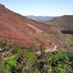 DSCF2524