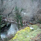 DSCN2422