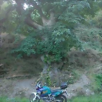 Via XIX 110