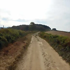 DSCN9573