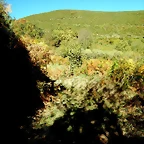 DSCN8013