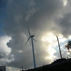 DSCN8503