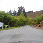DSCN0630