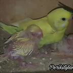 FB_IMG_1574040082999