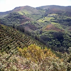 DSCN5022