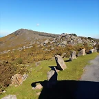 DSCN0110