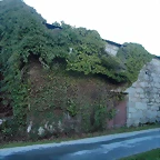 DSCN7191