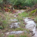 12-IMG_3143