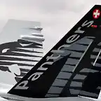 Timn de cola de un F-18 Hornet de la Fuerza Area Suiza