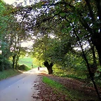 01-IMG_3458