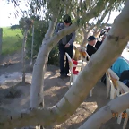 LEBRIJA 2012 024