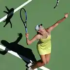 tenniscat