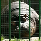 Zoo de Barcelona 03-04-11 578
