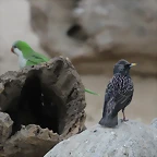 Zoo de Barcelona 31-01-12 241