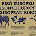 Zoo de Barcelona 31-01-12 370