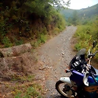 DSCN7948