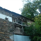 DSCN5388