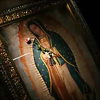 Fiesta Guadalupana 1