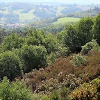 20-IMG_1455