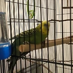 20180516_004500