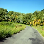 DSCN2189