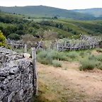 DSCN7050
