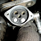 DSCN5711