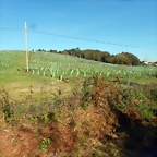 DSCN4563