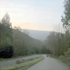 DSCN9905
