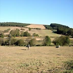 DSCN7897