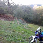 DSCN7904