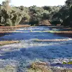 01, hielo en el campo, marca