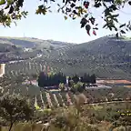 03, desde la loma del pino, marca