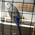 IMG-20191106-WA0004
