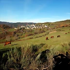 DSCN1453