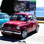CAS_3981