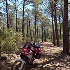15b