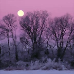 Full Moon over Edwin Warner Park, Nashville, Tennessee