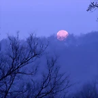 Full Moon Setting, Percy Warner State Park, Tennessee