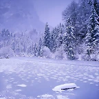 Frozen Lake, Schnolzersee, Bavaria, Germany